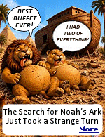 The mystery of Turkey�s Mount Ararat took another boat-shaped turn, as archaeologists dipped into the soil of the Durupinar formation in search of Noah�s Ark. The results offer a mixed bag of possibilities, with further analysis needed, but clues point toward a high concentration of organic matter that offer an intriguing possibility for the site�s history.